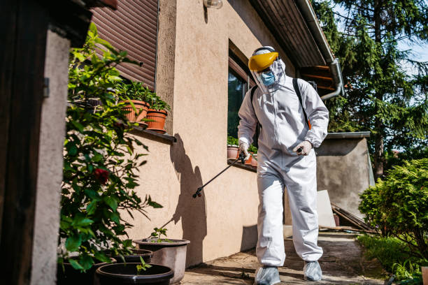 Best Termite Control Services  in Rden City, GA